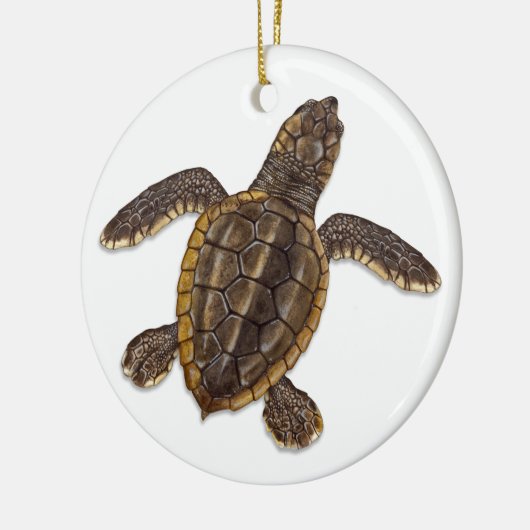 Loggerhead Zee Turtle Hatchling Ornament (Links)