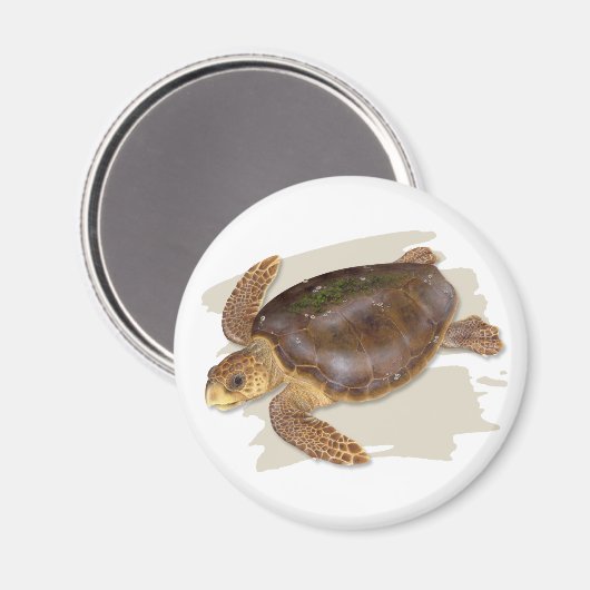 Loggerhead Zee Turtle Magnet (Voorkant / Achterkant)