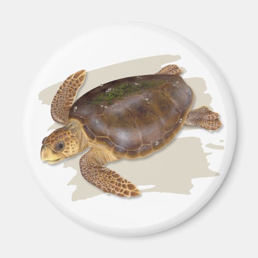 Loggerhead Zee Turtle Magnet (Voorkant)