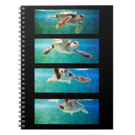 Loggerhead Zee Turtle Study Notitieboek