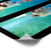 Loggerhead Zee Turtle Study Poster (Hoek)