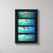 Loggerhead Zee Turtle Study Wrapped Canvas Afdruk (Voorkant)
