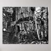LOGGING CANADA c. 1890 Poster (Voorkant)
