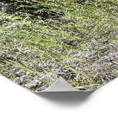 Logging Truck - Burke Idaho Ghost Town Poster (Hoek)