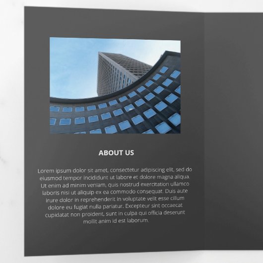 Logische monochromatische geometrische retroflecto drieluik kaart (Binnenzijde eerst)