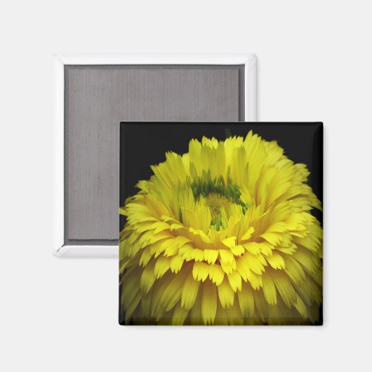 Logo Bloem Magneet (Voorkant / Achterkant)