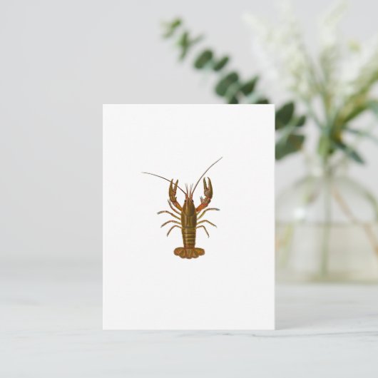 Logo Briefkaart (Staand voorkant)