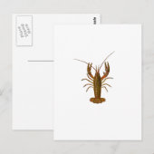 Logo Briefkaart (Voorkant / Achterkant)