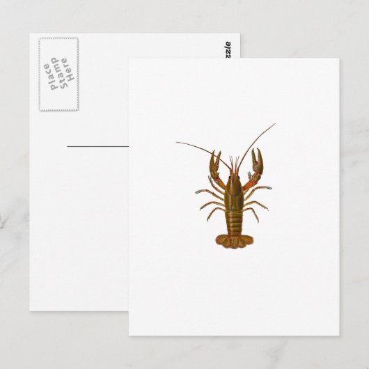 Logo Briefkaart (Voorkant / Achterkant)