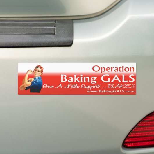 Logo Bumpersticker (Op auto)