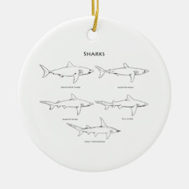 Logo haaien keramisch ornament