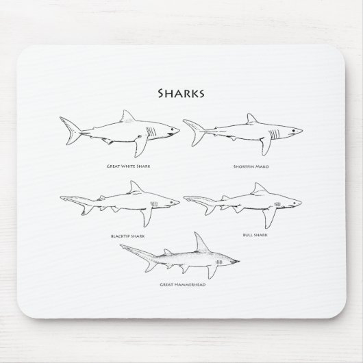 Logo haaien muismat (Voorkant)