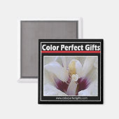 Logo Magnet (Voorkant / Achterkant)