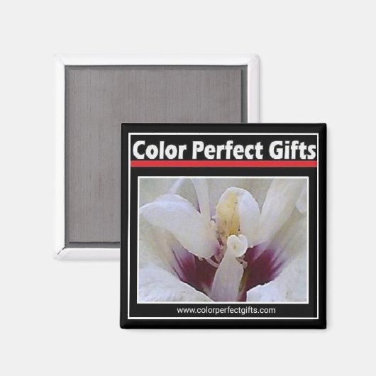 Logo Magnet (Voorkant / Achterkant)