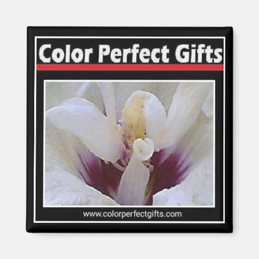 Logo Magnet (Voorkant)