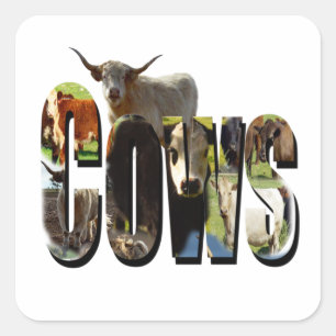 Logo met koeiennaam, vierkante sticker