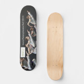 logo rioult pa tour skateboard (Voorkant)