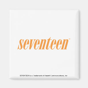Logo-Sinaasappel zeventien Magneet