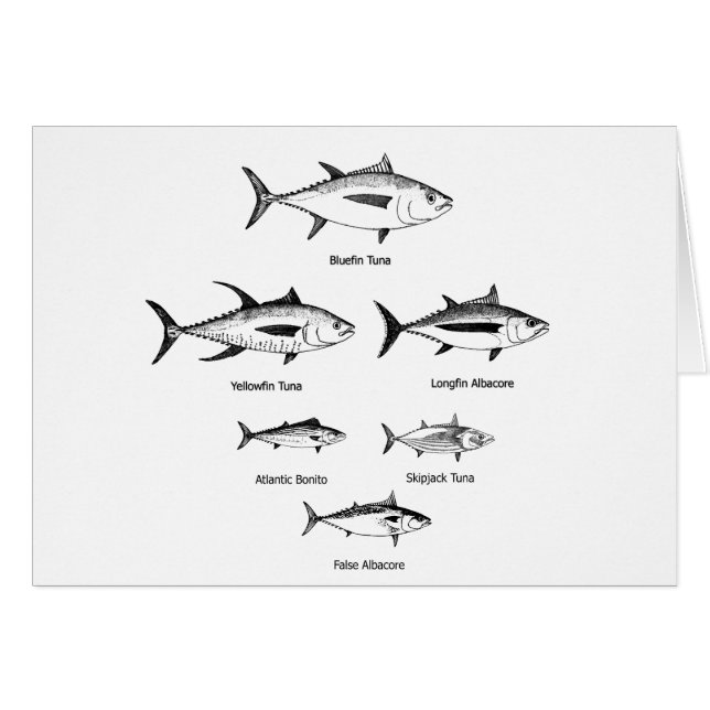 Logo tonijn (Voorkant Horizontaal)