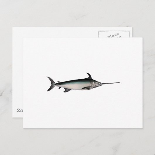Logo zwaardvis briefkaart (Voorkant / Achterkant)