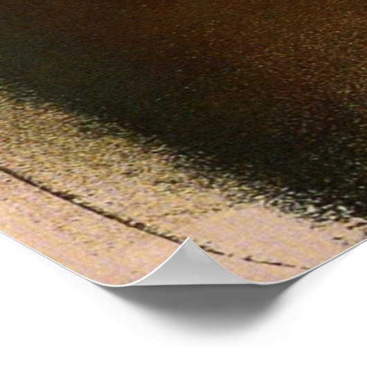 Loie Fuller 2 van Toulouse-Lautrec Poster (Hoek)