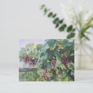 Loire Valley Vineyard – French Grape Painting Briefkaart