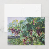 Loire Valley Vineyard – French Grape Painting Briefkaart (Voorkant / Achterkant)
