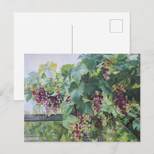 Loire Valley Vineyard – French Grape Painting Briefkaart (Voorkant / Achterkant)