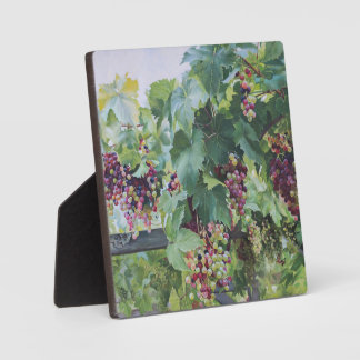 Loire Valley Vineyard – French Grape Painting Fotoplaat