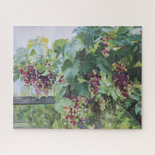 Loire Valley Vineyard – French Grape Painting Legpuzzel (Horizontaal)