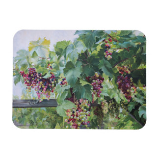 Loire Valley Vineyard – French Grape Painting Magneet