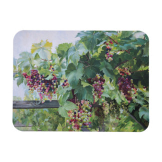 Loire Valley Vineyard – French Grape Painting Magneet
