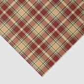 Loively Pset Holiday Wrap Tissuepapier (Detail)