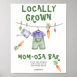 lokaal geteeld baby shower - Momosa bar Poster