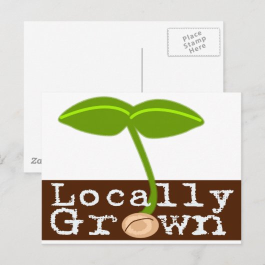 Lokaal geteeld briefkaart (Voorkant / Achterkant)