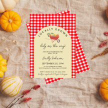 Lokaal geteeld Modern Red Gingham Baby shower