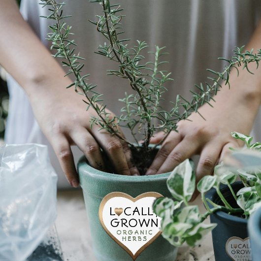 Lokaal geteelde biologische kruiden Bronzen Hart Hart Sticker