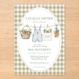 Lokaal Geteelde Blauwe Gingham Baby Shower Uitnodi Acryl Uitnodigingen