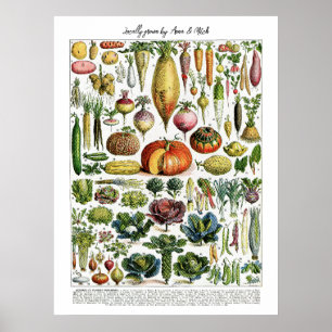 Lokaal geteelde Franse  Groenten Grafiek Poster