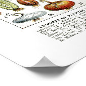 Lokaal geteelde Franse  Groenten Grafiek Poster (Hoek)