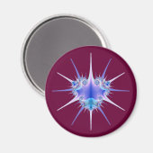 Lokern Bug Magneet (Voorkant / Achterkant)