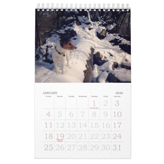 Loki 2017 Calendar Kalender (Jan 2026)