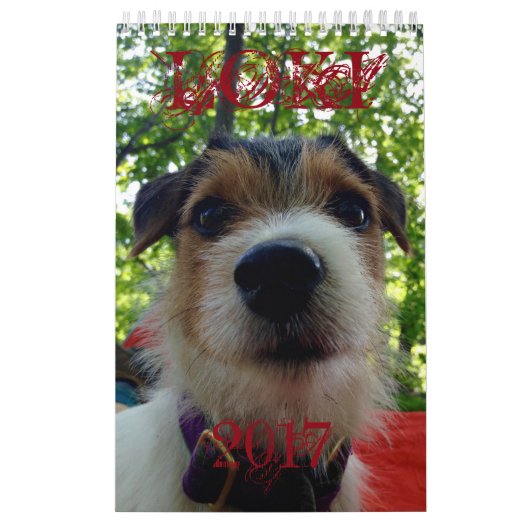 Loki 2017 Calendar Kalender (Hoes)