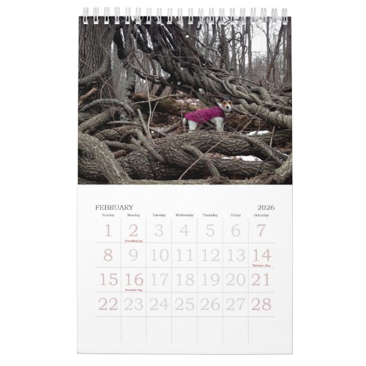 Loki 2017 Calendar Kalender (Feb 2026)