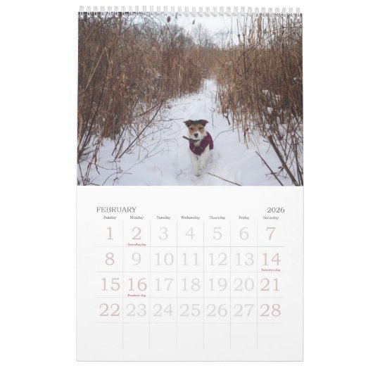 Loki 2019 kalender (Feb 2026)