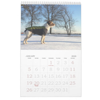 Loki 2020 Calendar Kalender