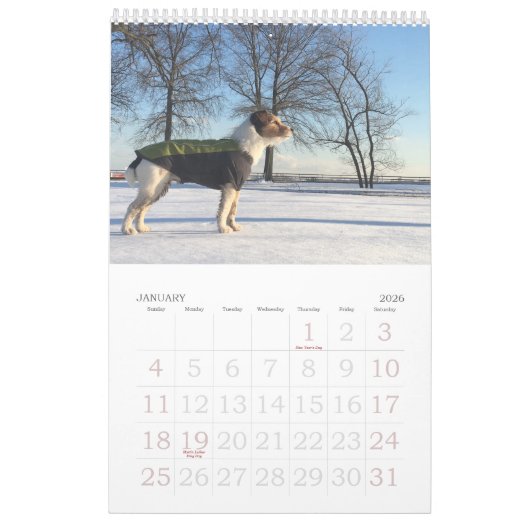 Loki 2020 Calendar Kalender (Jan 2026)