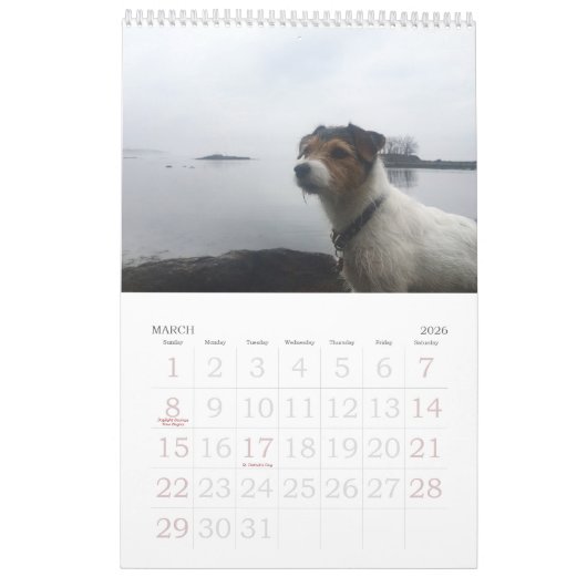 Loki 2020 Calendar Kalender (Mar 2026)