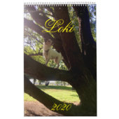 Loki 2020 Calendar Kalender (Hoes)