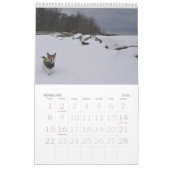 Loki 2020 Calendar Kalender (Feb 2026)